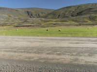 a dirt road with sheep in the distance and mountains in the background at this time