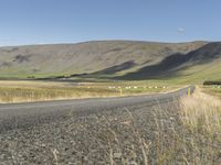 Iceland's Highland Plain: Rural Fields Surrounded by Clouds