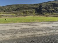 an open grass field near some mountains with a few sheep eating grass in the distance