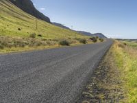 Iceland Mountain Landscape: Road, Trees, and Grass