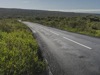 a long road stretching up into the distance along the plains with grass and bushes in front of it