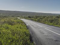 a long road stretching up into the distance along the plains with grass and bushes in front of it