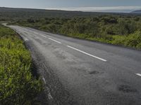 a long road stretching up into the distance along the plains with grass and bushes in front of it