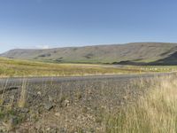 Icelandic Landscape: Tree, Grass, Clear Sky 002