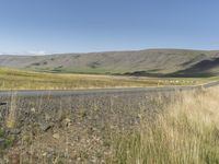 Icelandic Landscape with Tree, Grass, and Clear Sky