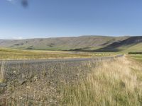 Icelandic Landscape with Tree, Grass, and Clear Sky