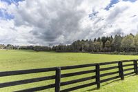 a fence in an open pasture overlooks a forest with evergreen trees at the side