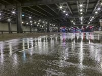 City of Illinois: Street Lights and Reflections at Night