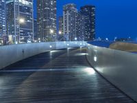 Illinois Cityscape at Night with Light Bridge 001