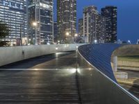 Illinois Cityscape Night Light Bridge 003