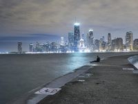 The Metropolitan Area of Illinois: A Night Cityscape