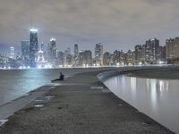 The Metropolitan Area of Illinois: A Night Cityscape