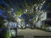 a tree is lit by lights in a courtyard area of a building with several plants