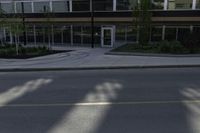 a tall building near an empty street with windows and trees in front of it and a white fire hydrant sitting on the corner