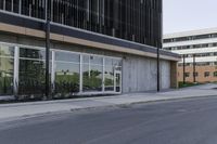 an empty city street in front of a business building with tall windows and a tree on the sidewalk