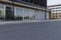 an empty city street in front of a business building with tall windows and a tree on the sidewalk