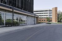 an empty city street in front of a business building with tall windows and a tree on the sidewalk