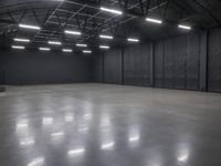 a hangar room with metal walls and lots of windows with recess lighting on the ceiling