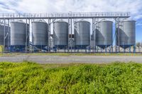 an industrial silo system with blue steel towers and green grass around it stock photo - 13816236