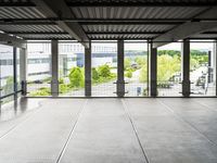 Interior Design: Wood Flooring and Natural Light