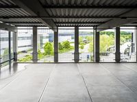 Interior Design: Wood Flooring and Natural Light