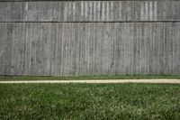 Exploring Iowa City's Business District