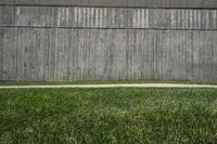 Exploring Iowa City's Business District