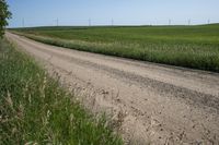 a dirt road with wind turbines in the background on a sunny day with no clouds