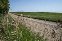 a dirt road with wind turbines in the background on a sunny day with no clouds