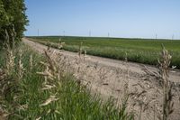a dirt road with wind turbines in the background on a sunny day with no clouds