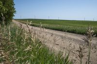 a dirt road with wind turbines in the background on a sunny day with no clouds