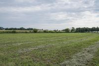 Iowa Farm Land Lot: A Rural Agriculture Scene