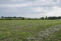 Iowa Farm Land Lot: A Rural Agriculture Scene