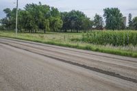 Iowa Field with Tree Line
