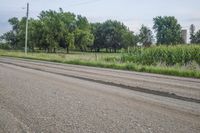 Iowa Field Tree Line 002