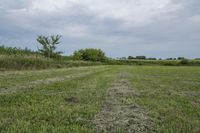 the grass field has patches of dirt along it and a patch of the fence line on the side