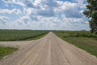 Iowa Rural Landscape: Dirt Road 001