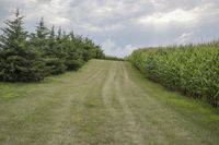 Iowa Rural Landscape: Grey Sky and Clouds