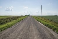 a dirt road stretching into the distance in a rural field near a telephone pole and a telephone pole