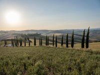 an image of an italian country setting in summertime photography by paul dyknes