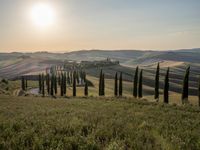 an image of an italian country setting in summertime photography by paul dyknes