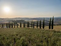 an image of an italian country setting in summertime photography by paul dyknes