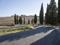 the road curves down from the hill to a small town and a row of cypress trees