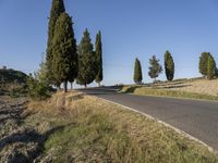 several trees in the distance by a road in italy, europe, and europe with some blue sky