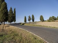 several trees in the distance by a road in italy, europe, and europe with some blue sky