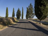 road through the middle of a rural area with trees and grass on both sides of it