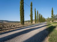 Italian Rural Road: A Serene Dirt Path in Daytime