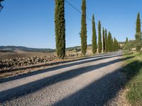 Italian Rural Road: A Serene Dirt Path in Daytime