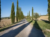 Italian Rural Road: A Serene Dirt Path in Daytime