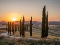 Italy's Rural Landscape: Tranquil Dirt Road